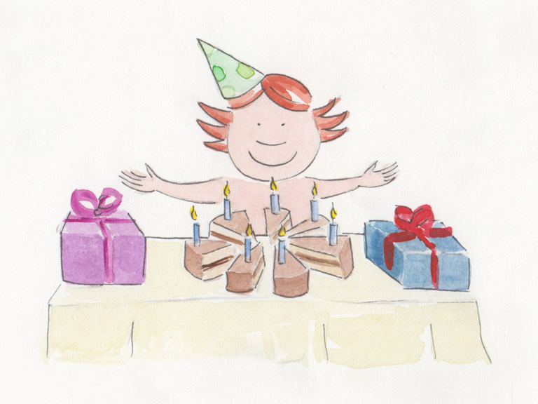 Le signe du mois - Un anniversaire à la fête